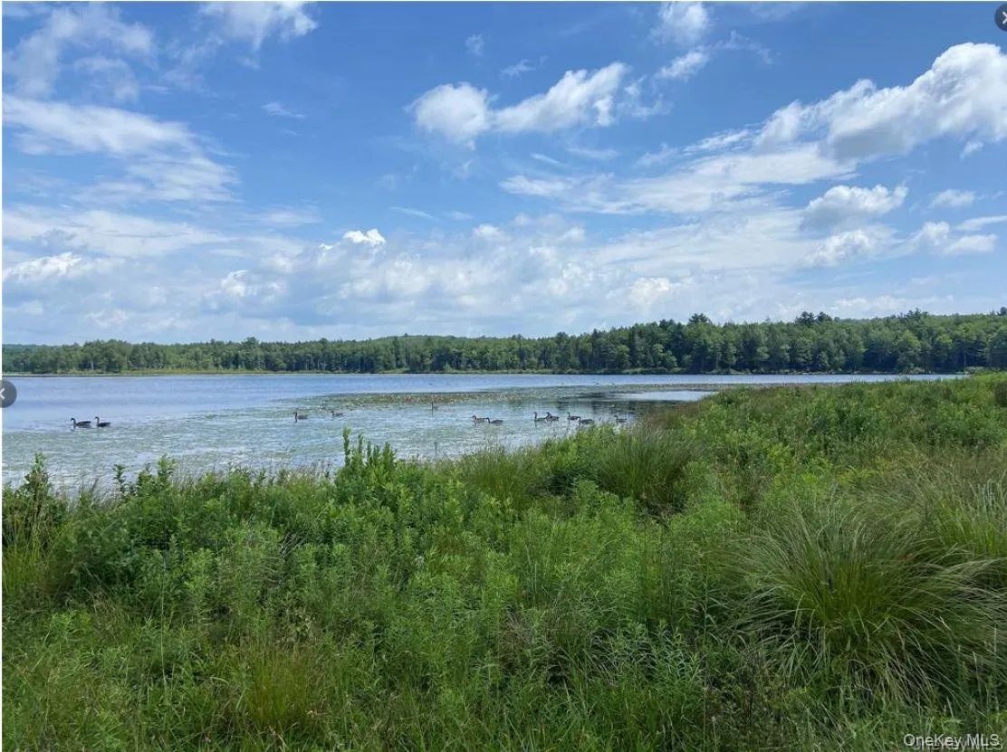 Kiamesha Lake, NY - 15 Bailey Lake Rd Unit 1, Kiamesha Lake, NY 12751 | Realtor.com®